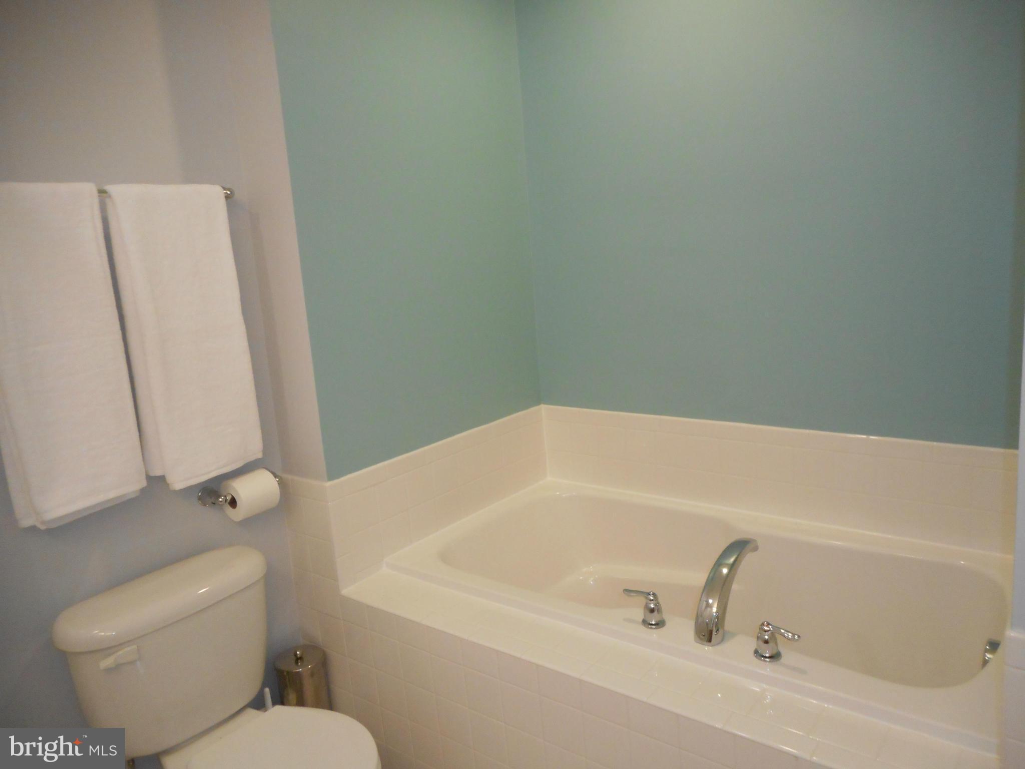 218 Rumbling Rock Road Hedgesville, WV 25427 - Photo 10 of 18 Bath (Master)