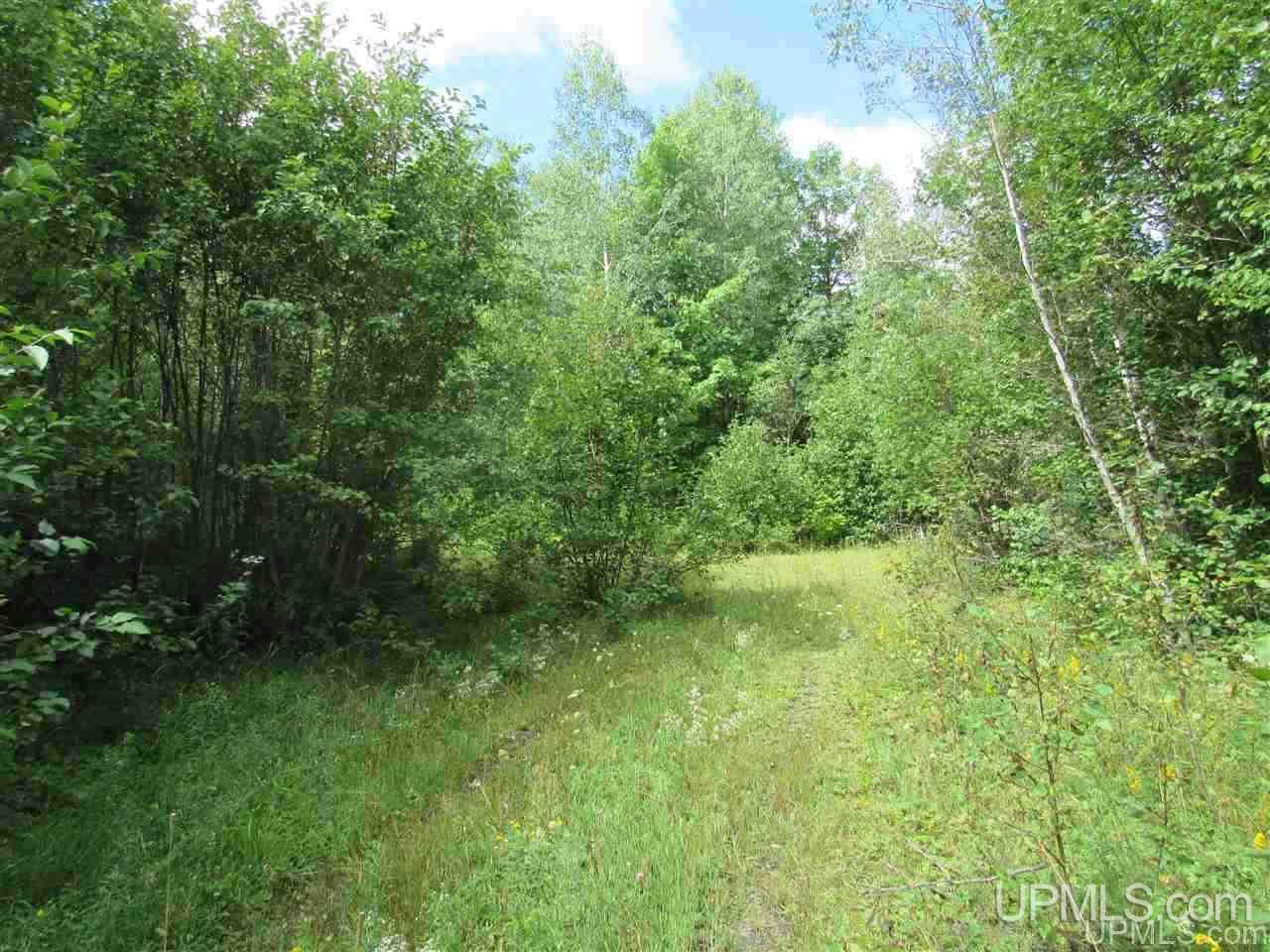 Tbd Tbd Off Us41 Lanse, MI 49946 - Photo 1 of 17