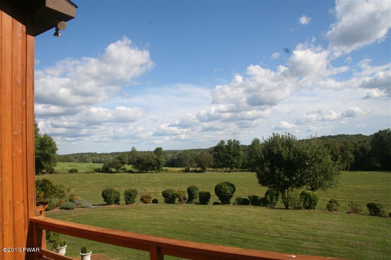 263 Lake Quinn Road Waymart, PA 18472 - Photo 2 of 50