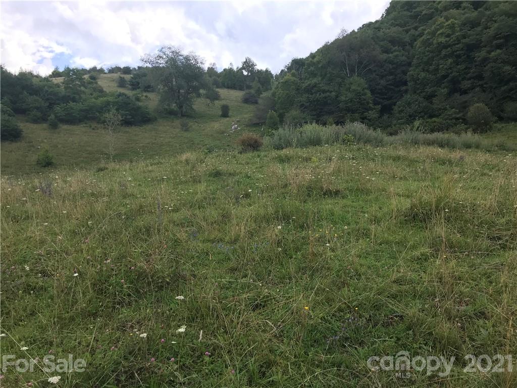 99999 Jerdon Road Clyde, NC 28721 - Photo 2 of 5 a view of a field of grass and trees
