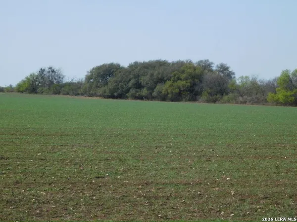 a view of field with trees in background