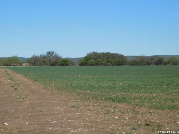 a view of a field with trees in background