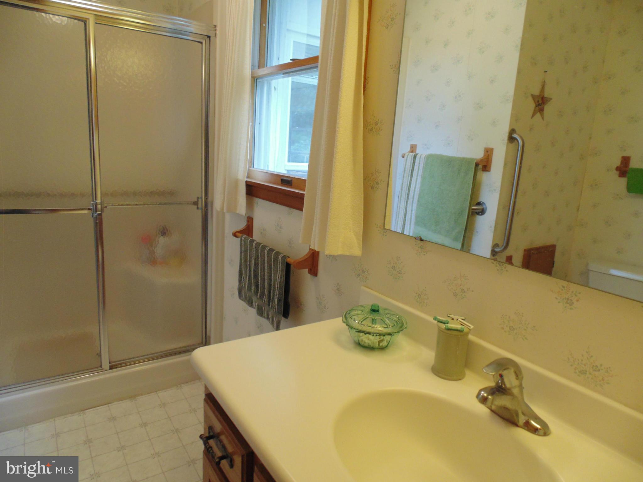13025 Eveland Road Ridgely, MD 21660 - Photo 18 of 24 Bath (Master)