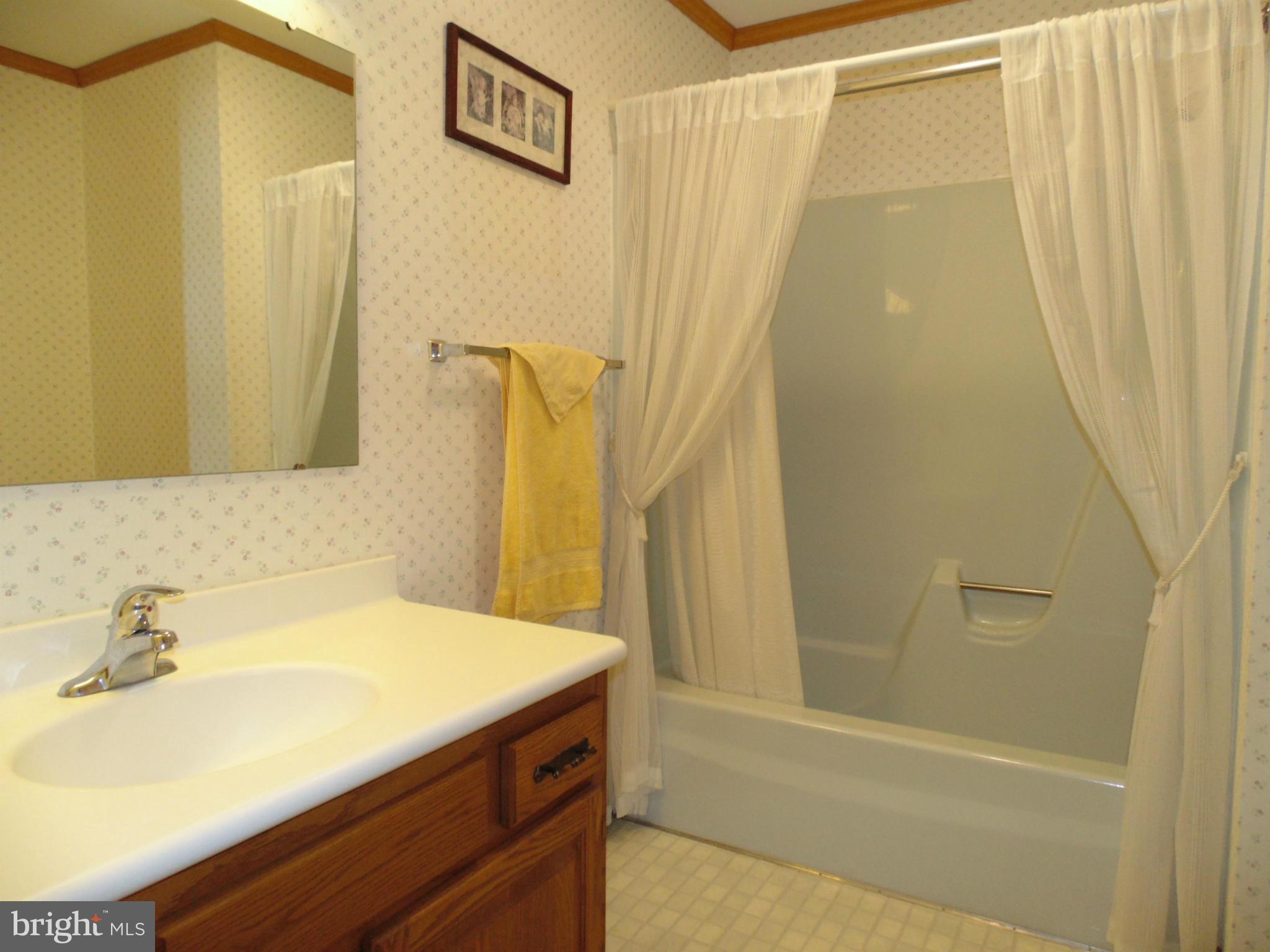 13025 Eveland Road Ridgely, MD 21660 - Photo 21 of 24 Hallway Bathroom