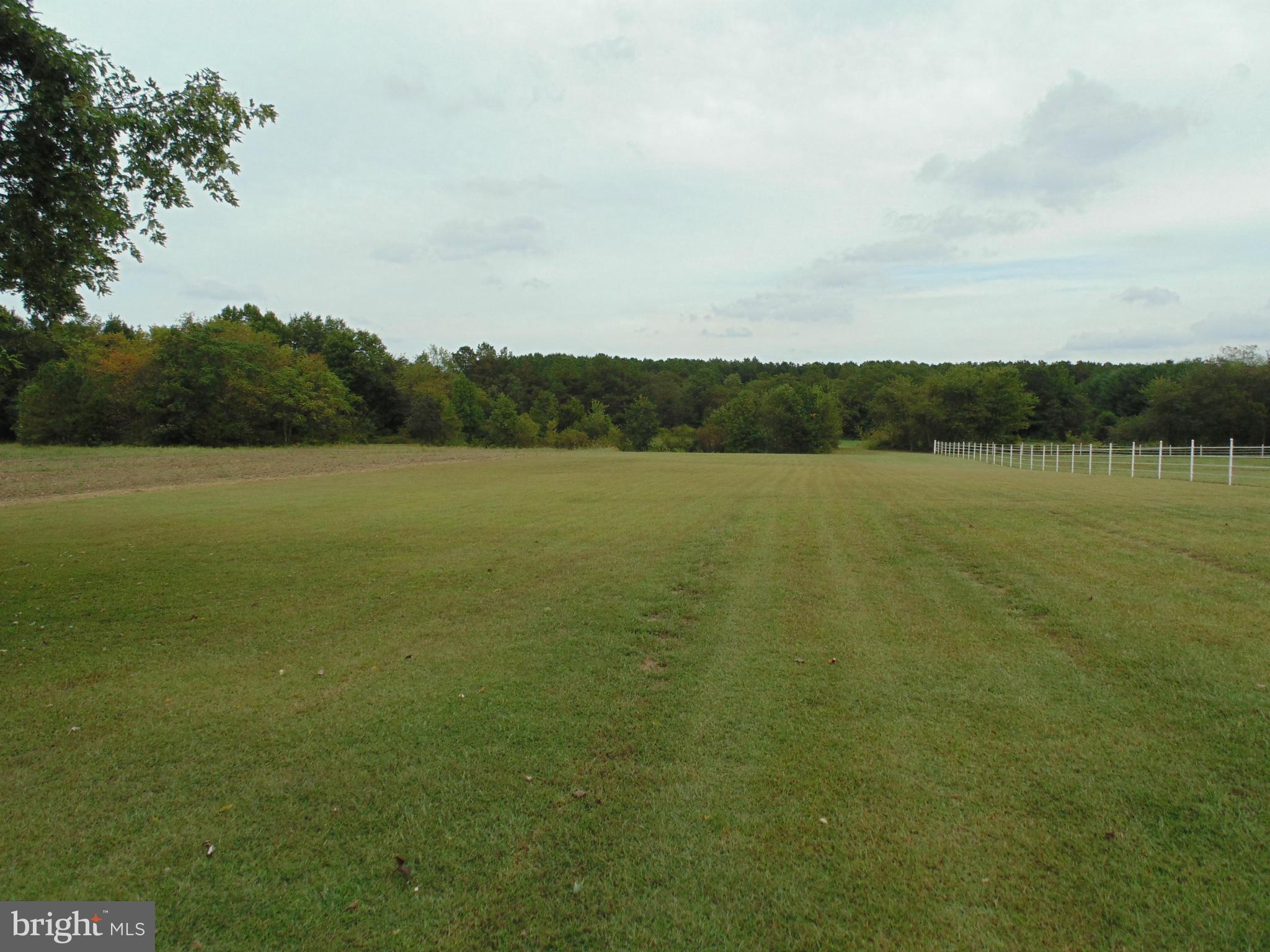 Cleared Pasture