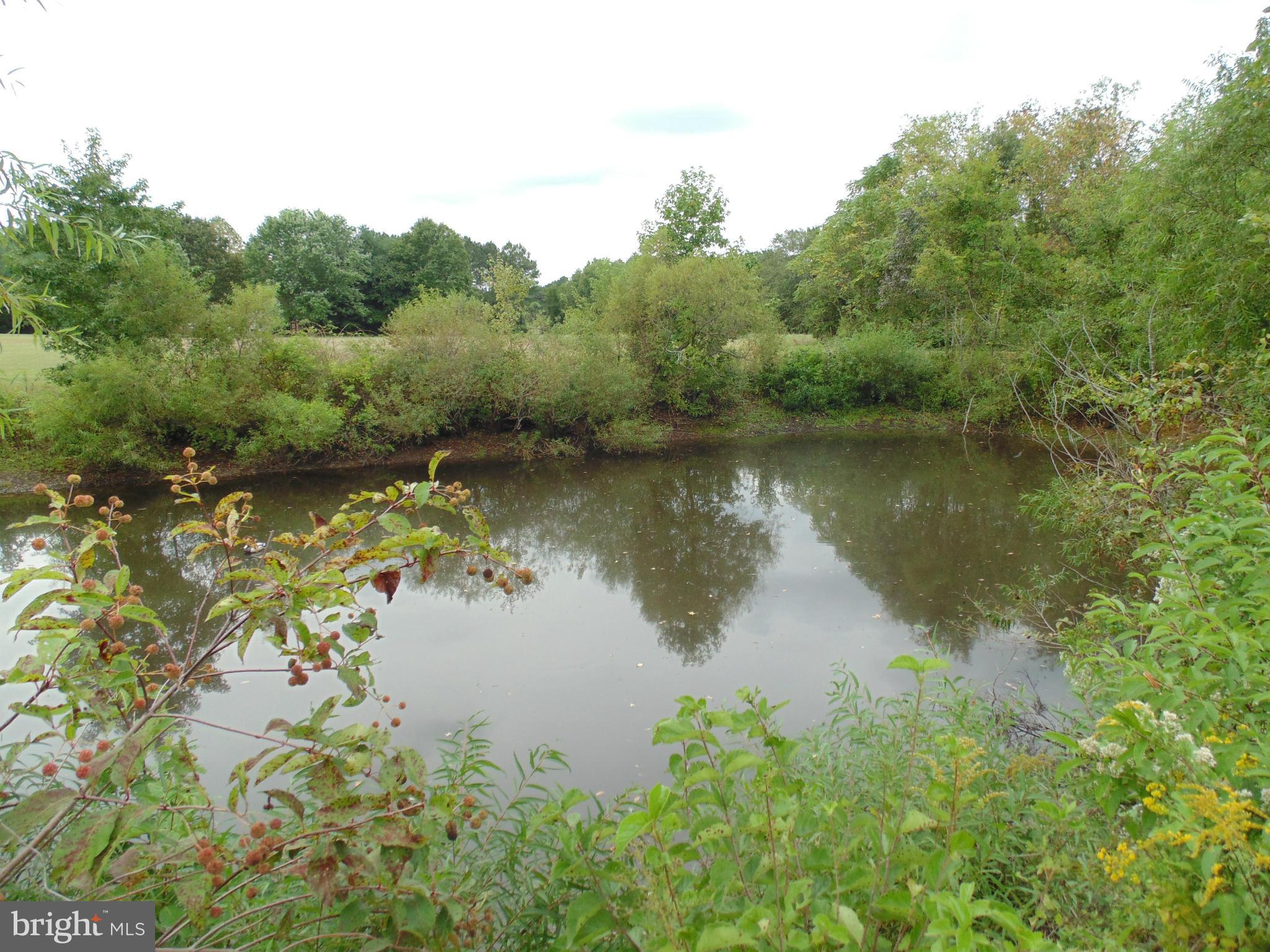 Private Pond