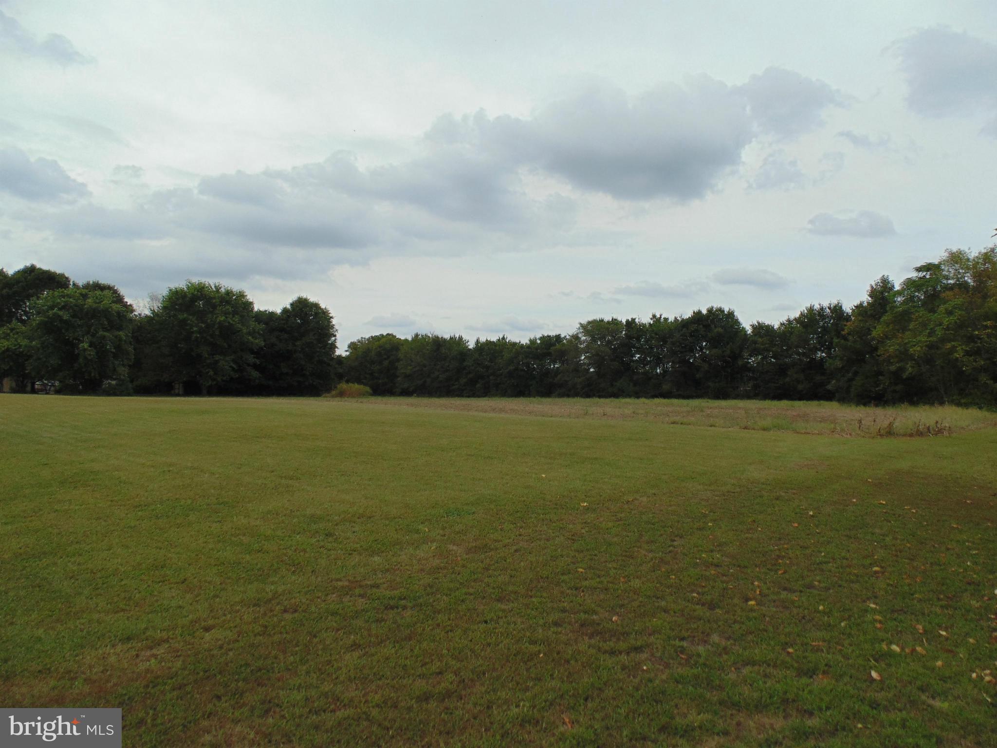 13025 Eveland Road Ridgely, MD 21660 - Photo 8 of 24 11.34 Acre Property