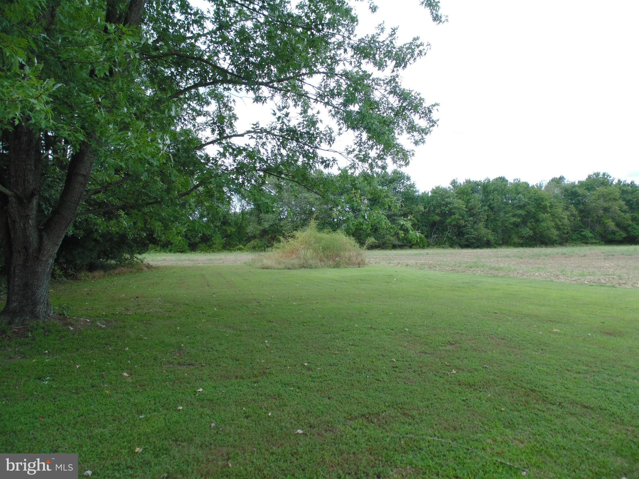13025 Eveland Road Ridgely, MD 21660 - Photo 9 of 24 Land has Multiple Uses!