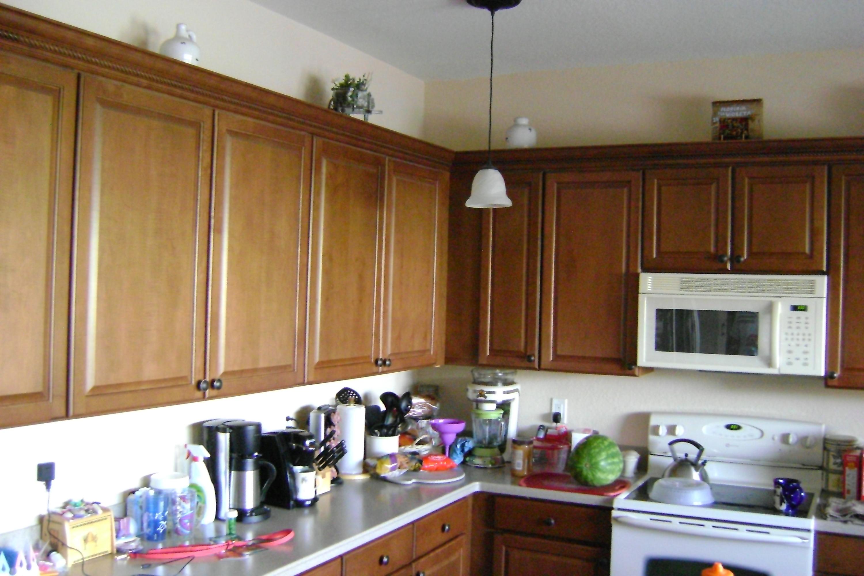 1012 Center Stone Lane Riviera Beach, FL 33404 - Photo 4 of 9 Kitchen