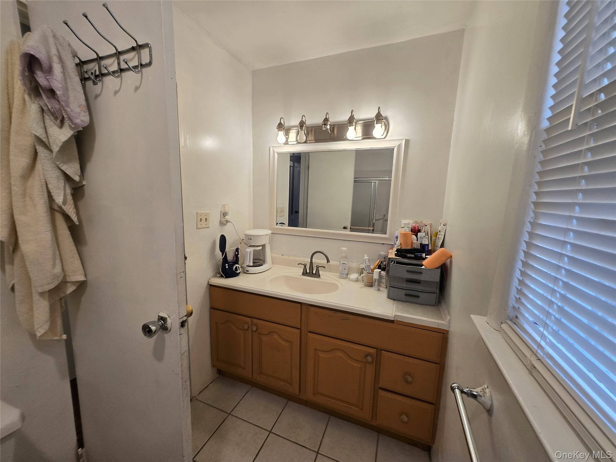 234 Sinsabaugh Road Pine Bush, NY 12566 - Photo 6 of 15 a bathroom with a sink and a mirror