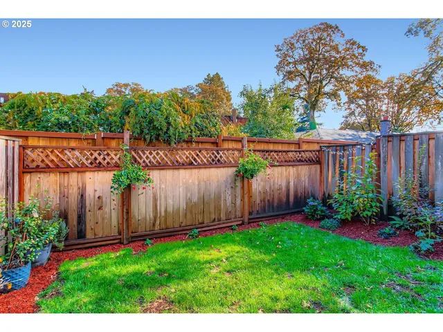a view of a backyard with potted plants and wooden fence