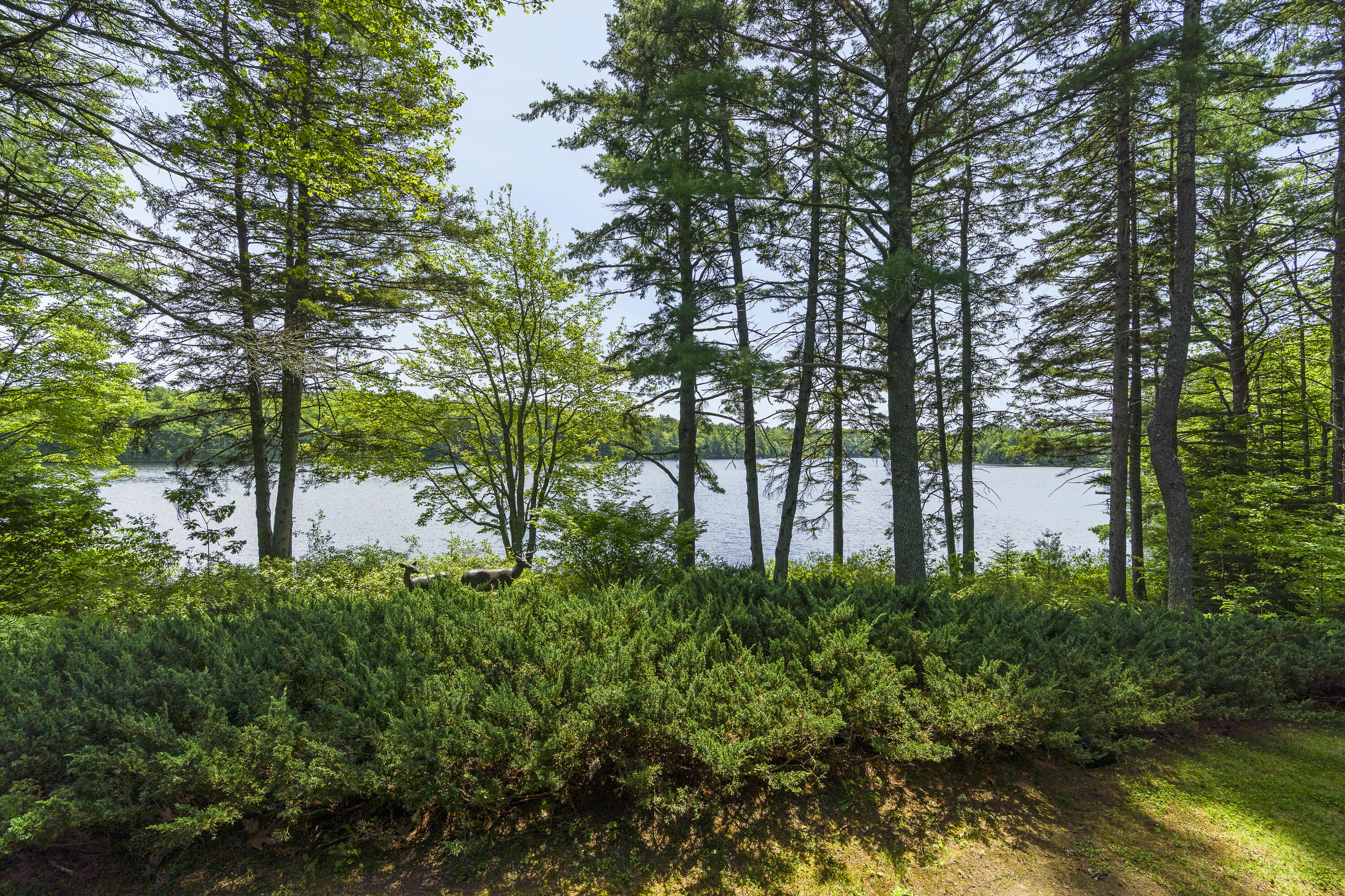 227 Quail Run Road Bristol, ME 04539 - Photo 5 of 50 38-227 Quail Run Rd, Bristol, ME-TP