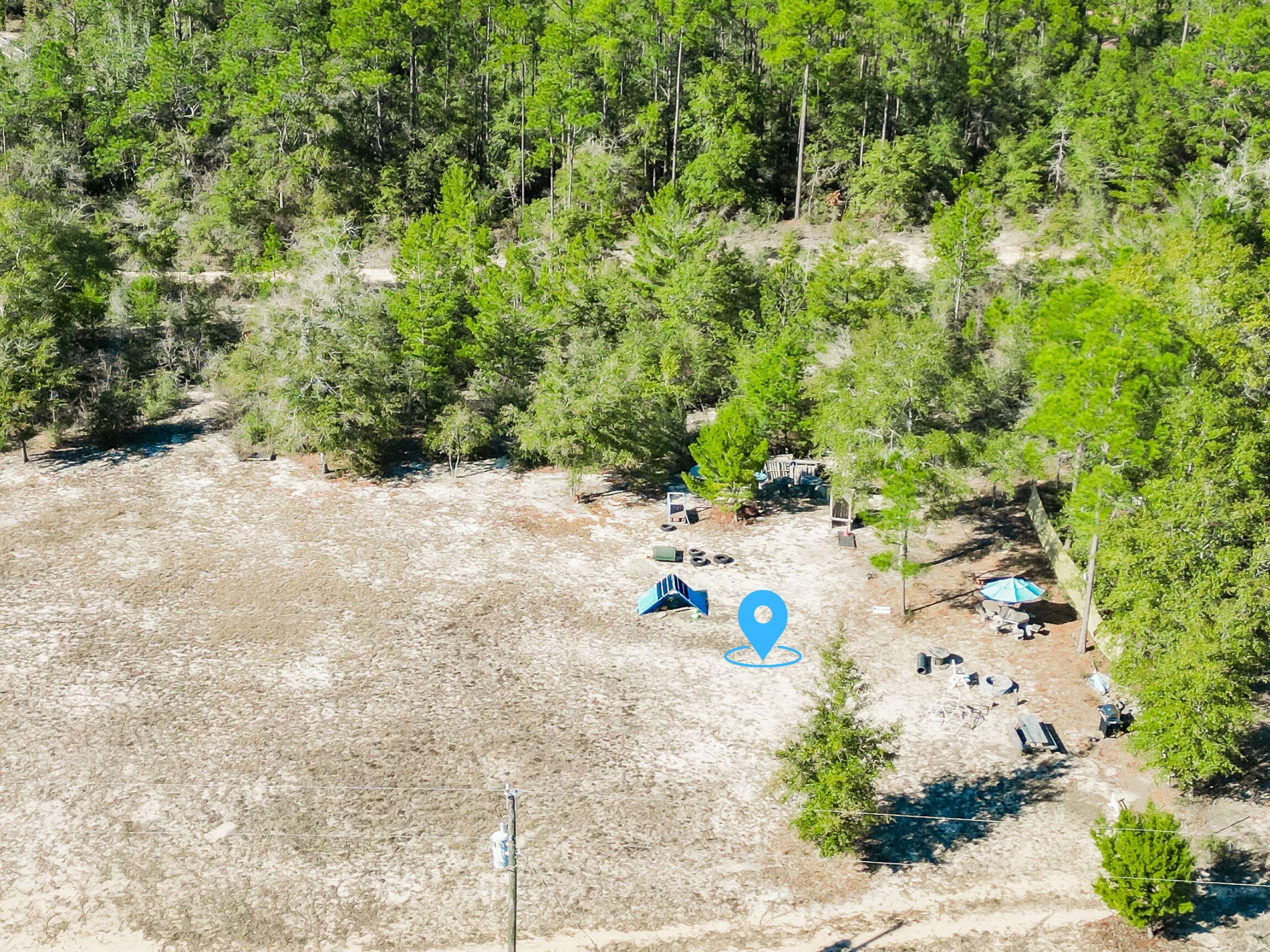 Lot 22 Canary Way Crestview, FL 32539 - Photo 6 of 11 a view of plant in a yard