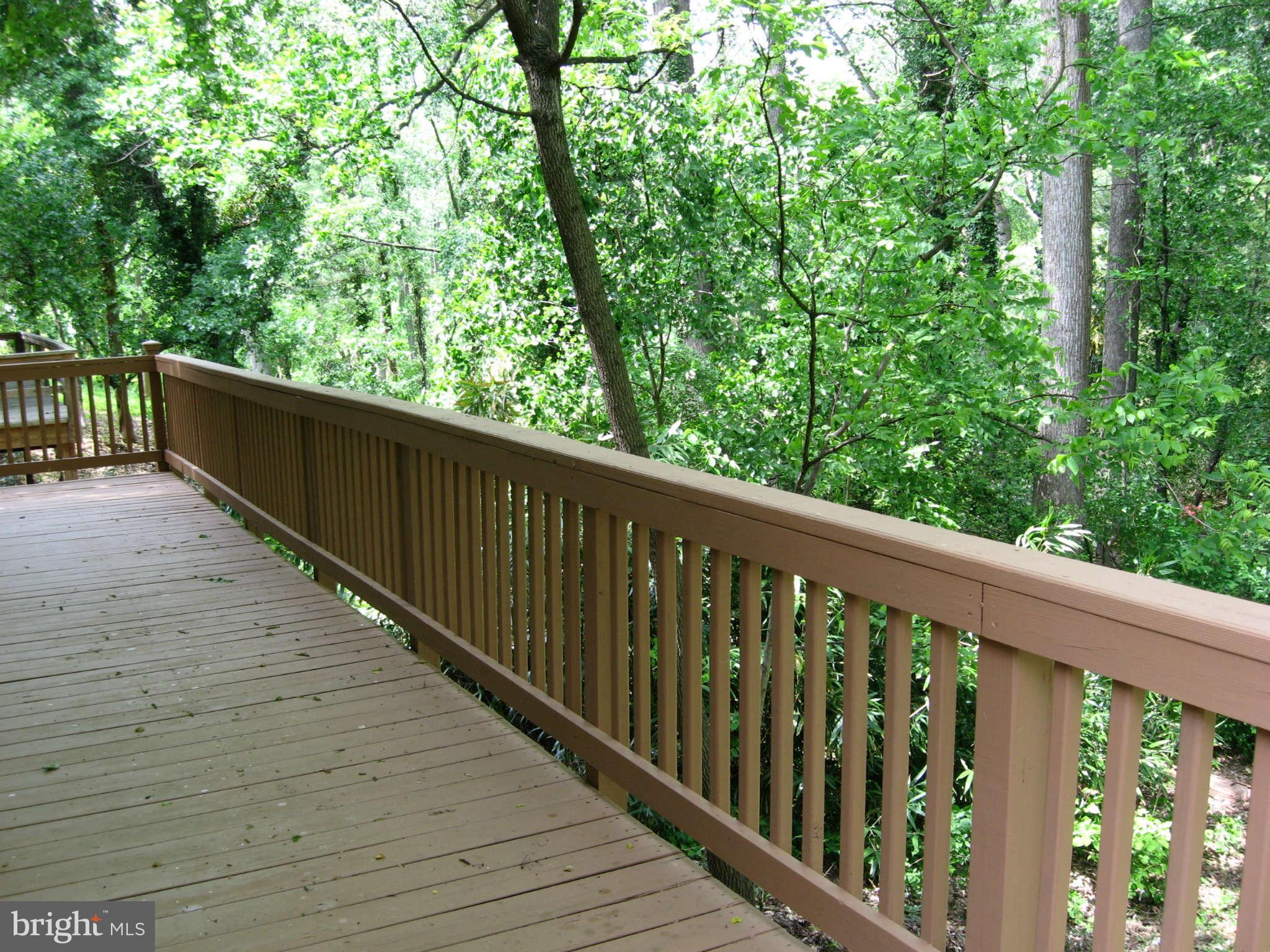 3905 Byrd Road Kensington, MD 20895 - Photo 18 of 19 Exterior (Rear)