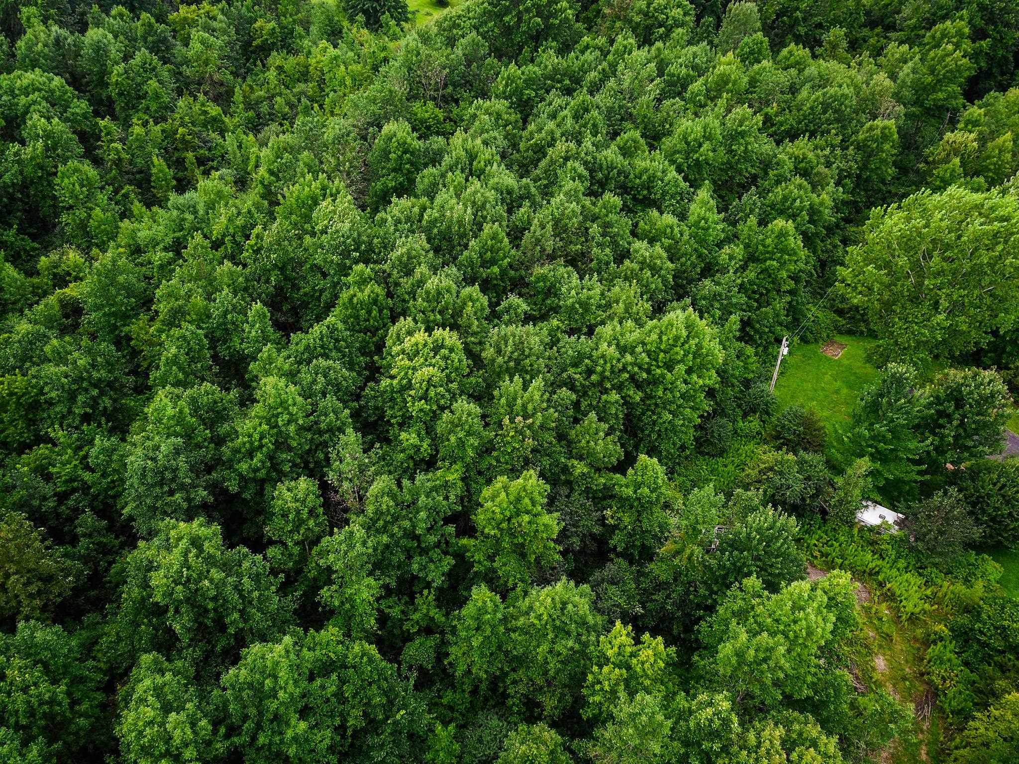 5 Brigantine Grand Isle, VT 05458 - Photo 11 of 29