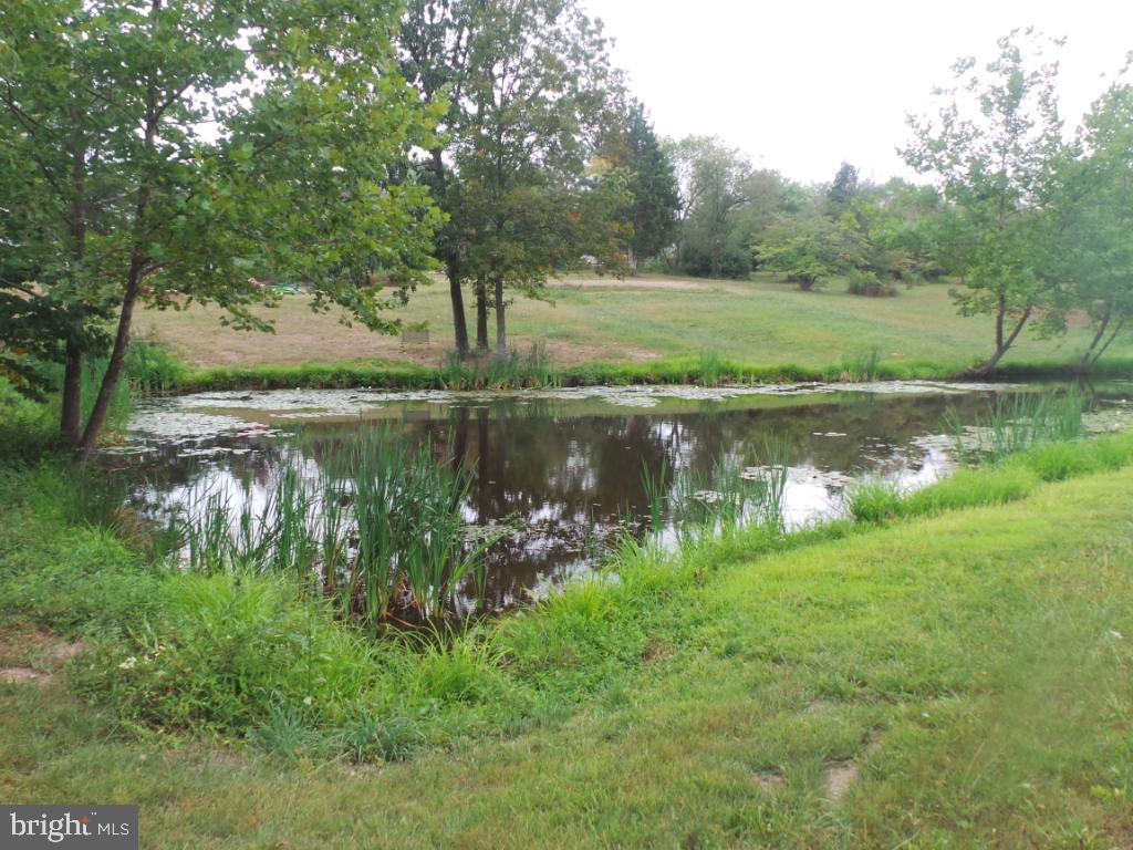 197 Packing House Road Berkeley Springs, WV 25411 - Photo 2 of 65 Your own pond with plenty of fish..