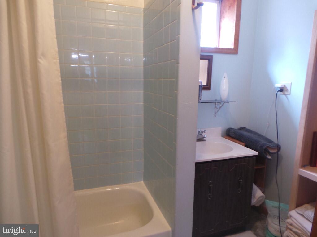 197 Packing House Road Berkeley Springs, WV 25411 - Photo 33 of 65 Full bath in basement