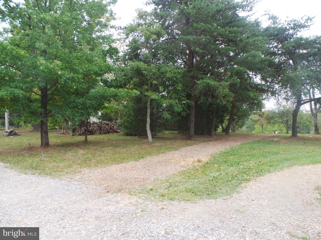 197 Packing House Road Berkeley Springs, WV 25411 - Photo 35 of 65