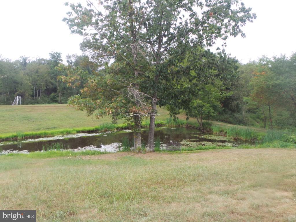 197 Packing House Road Berkeley Springs, WV 25411 - Photo 38 of 65