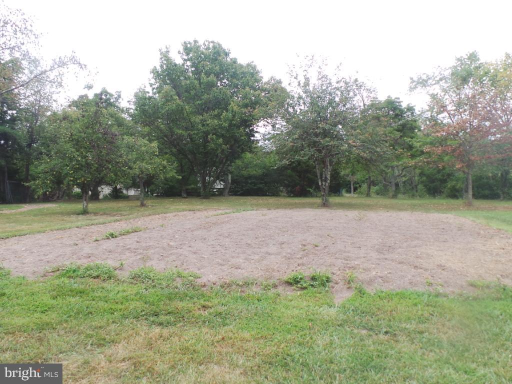 197 Packing House Road Berkeley Springs, WV 25411 - Photo 49 of 65