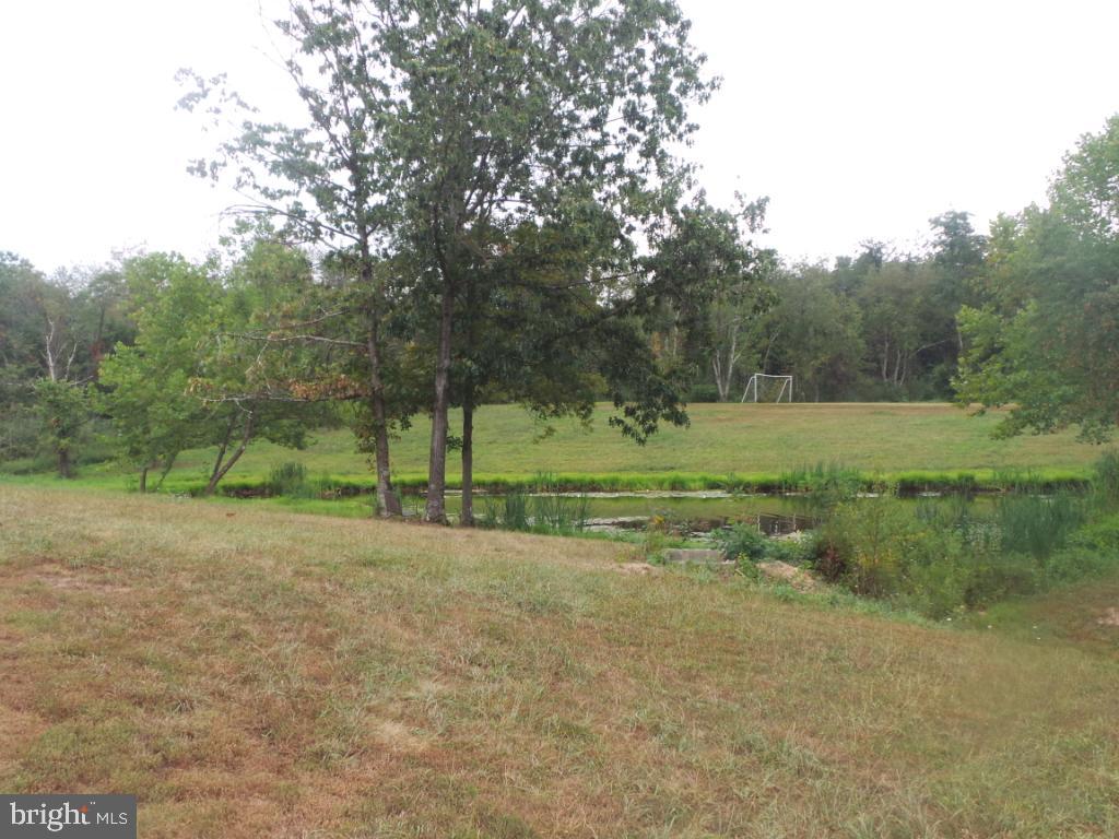 197 Packing House Road Berkeley Springs, WV 25411 - Photo 56 of 65
