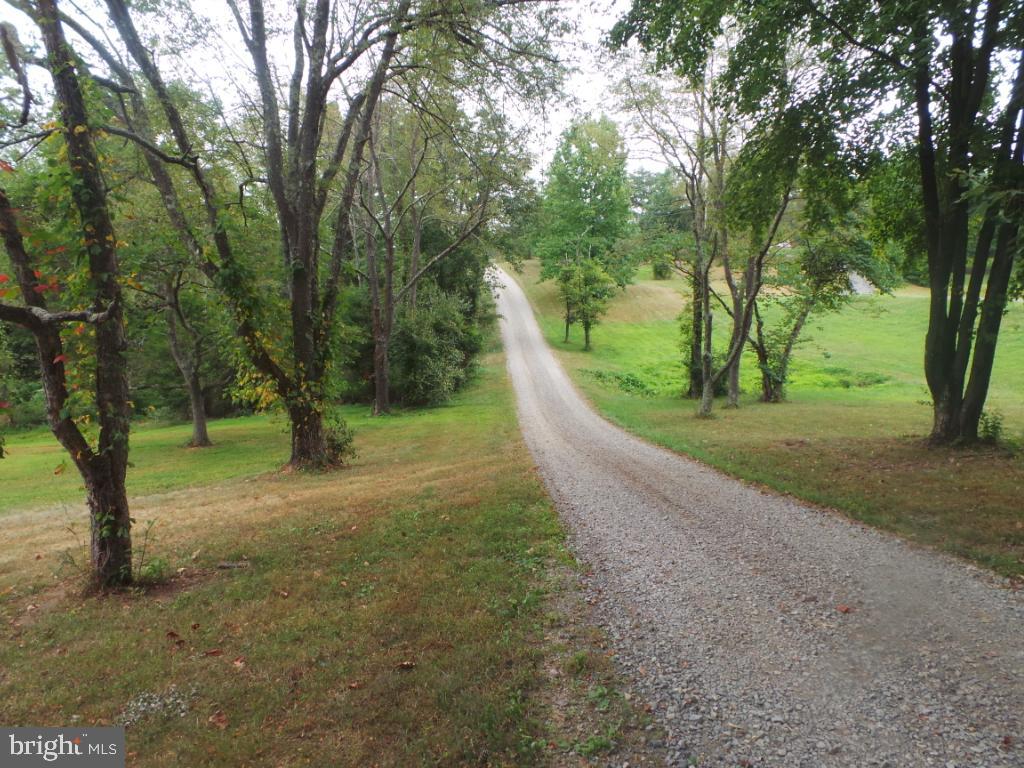 197 Packing House Road Berkeley Springs, WV 25411 - Photo 63 of 65