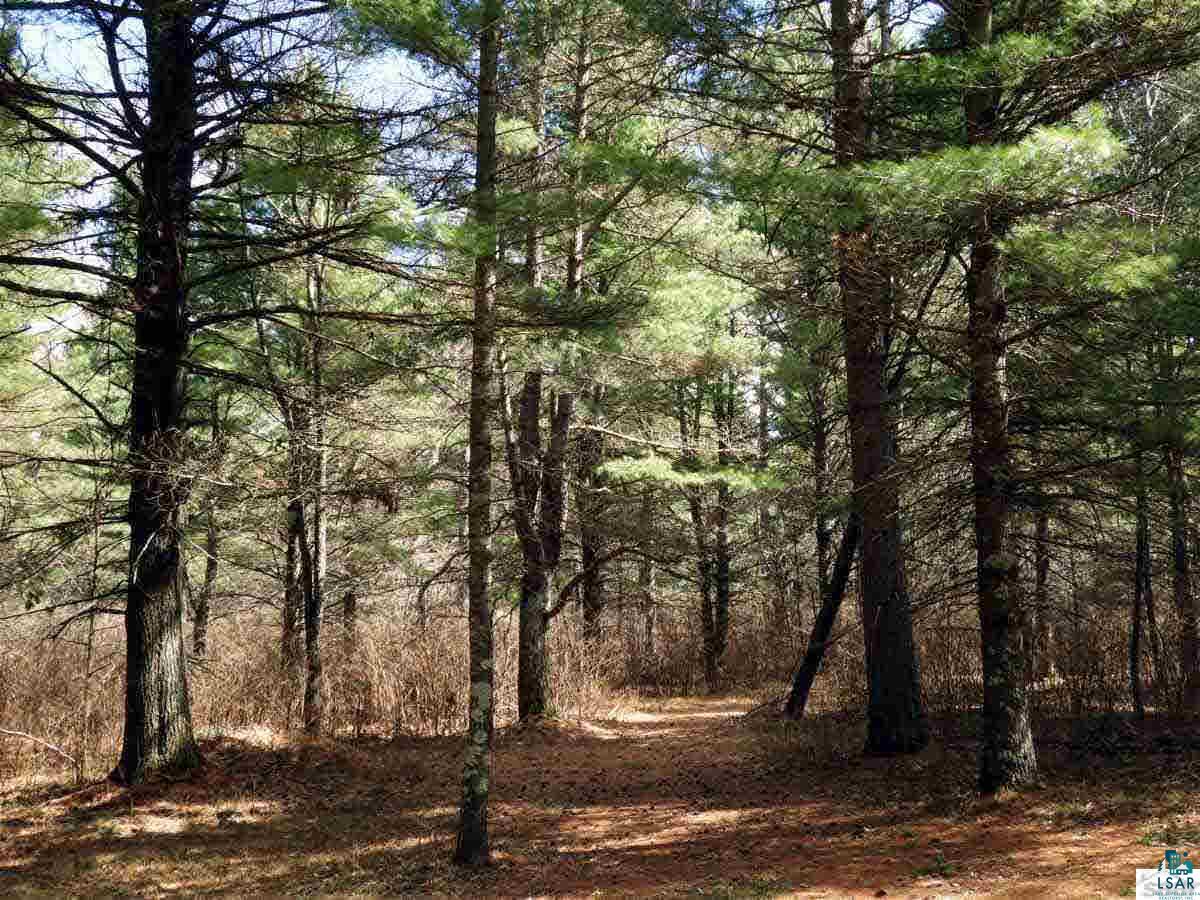 54880 Dana Road Barnes, WI 54873 - Photo 13 of 15