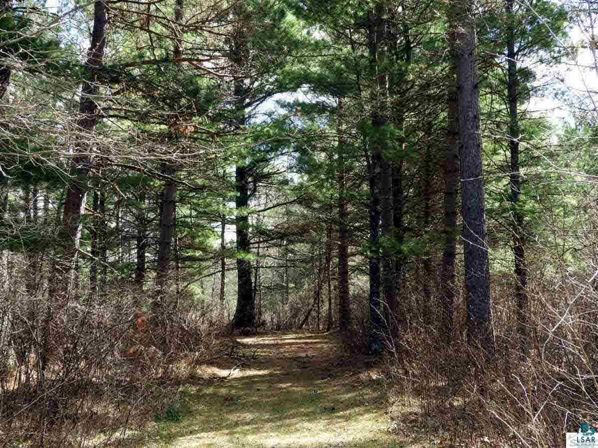 54880 Dana Road Barnes, WI 54873 - Photo 15 of 15