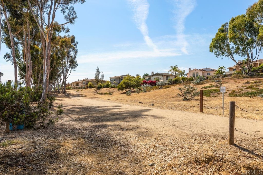 251 Rosebay Drive Encinitas, CA 92024 - Photo 30 of 31