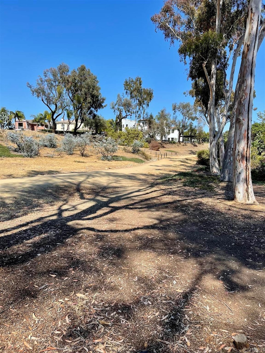 251 Rosebay Drive Encinitas, CA 92024 - Photo 31 of 31