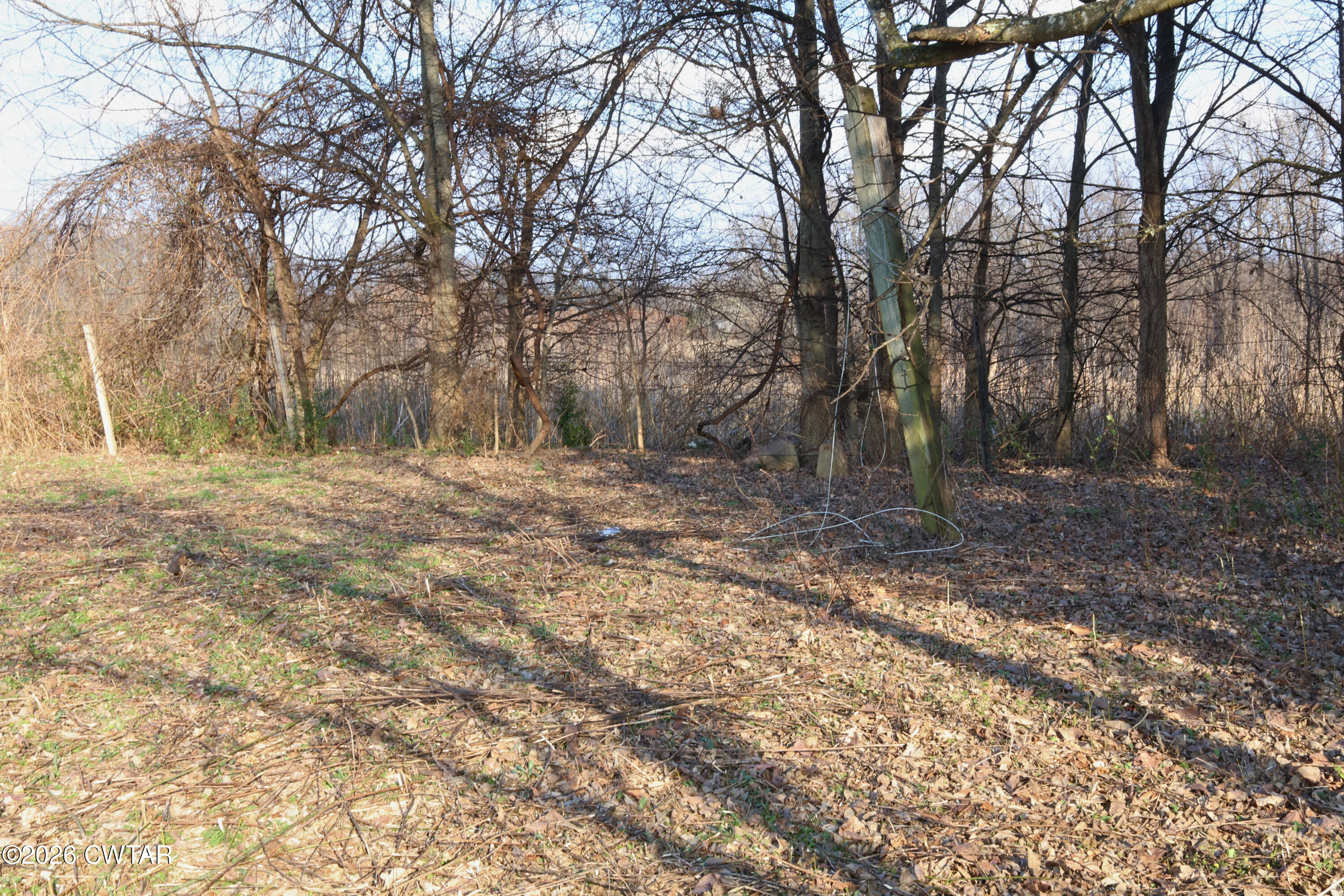 546 Ross Road Ripley, TN 38063 - Photo 1 of 5 2fc3e83b-7b06-4fd6-a0d7-22f873a8e219