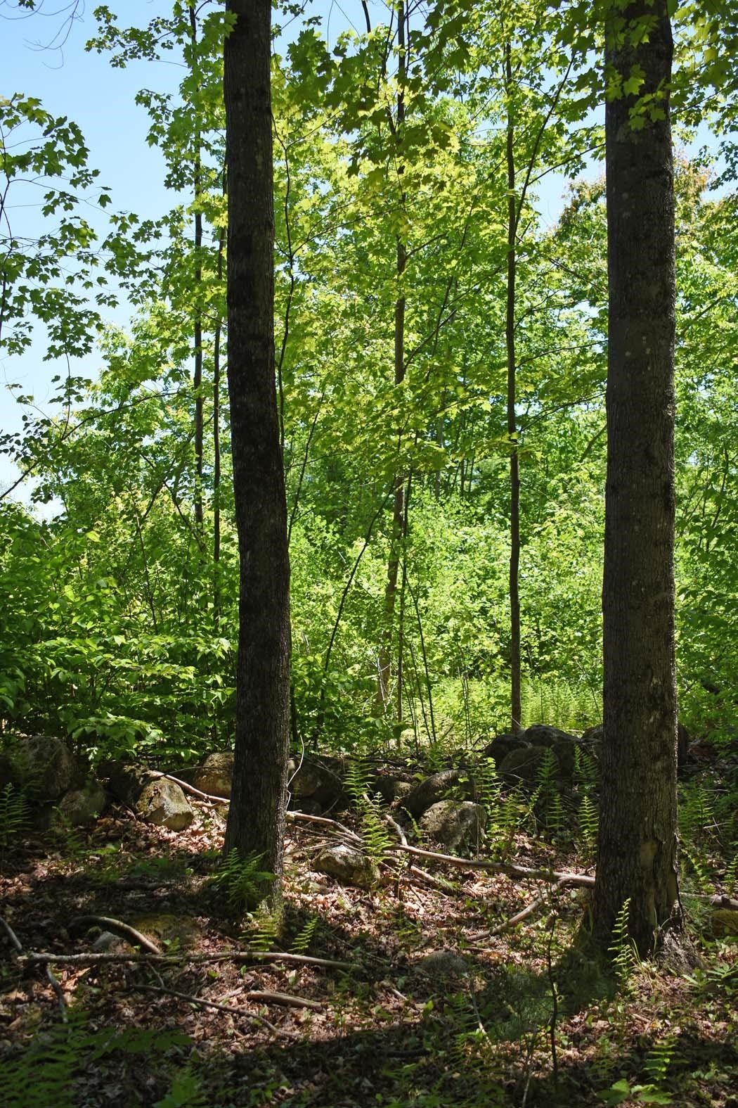 401 Sixth Range Road Pembroke, NH 03275 - Photo 6 of 10