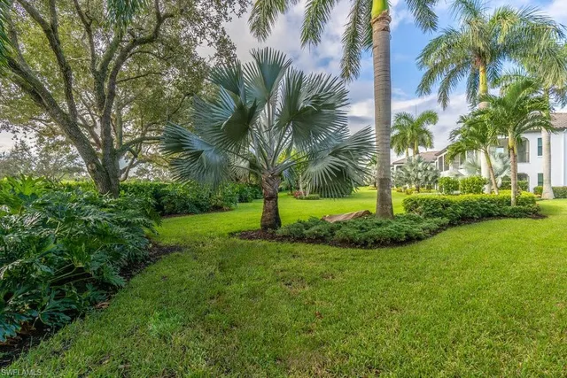 a view of a garden with palm trees