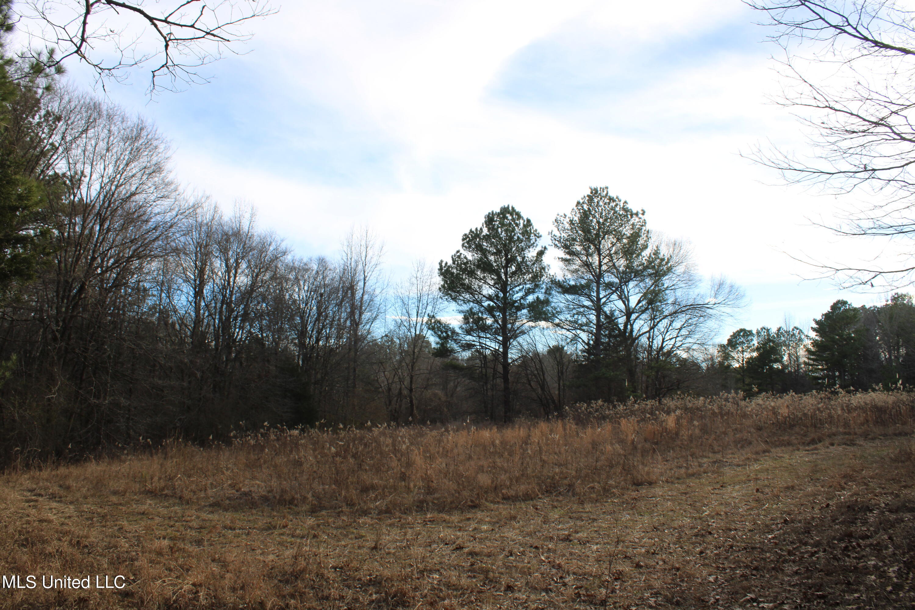 700 Rabbit Ridge Road Red Banks, MS 38661 - Photo 1 of 39 land