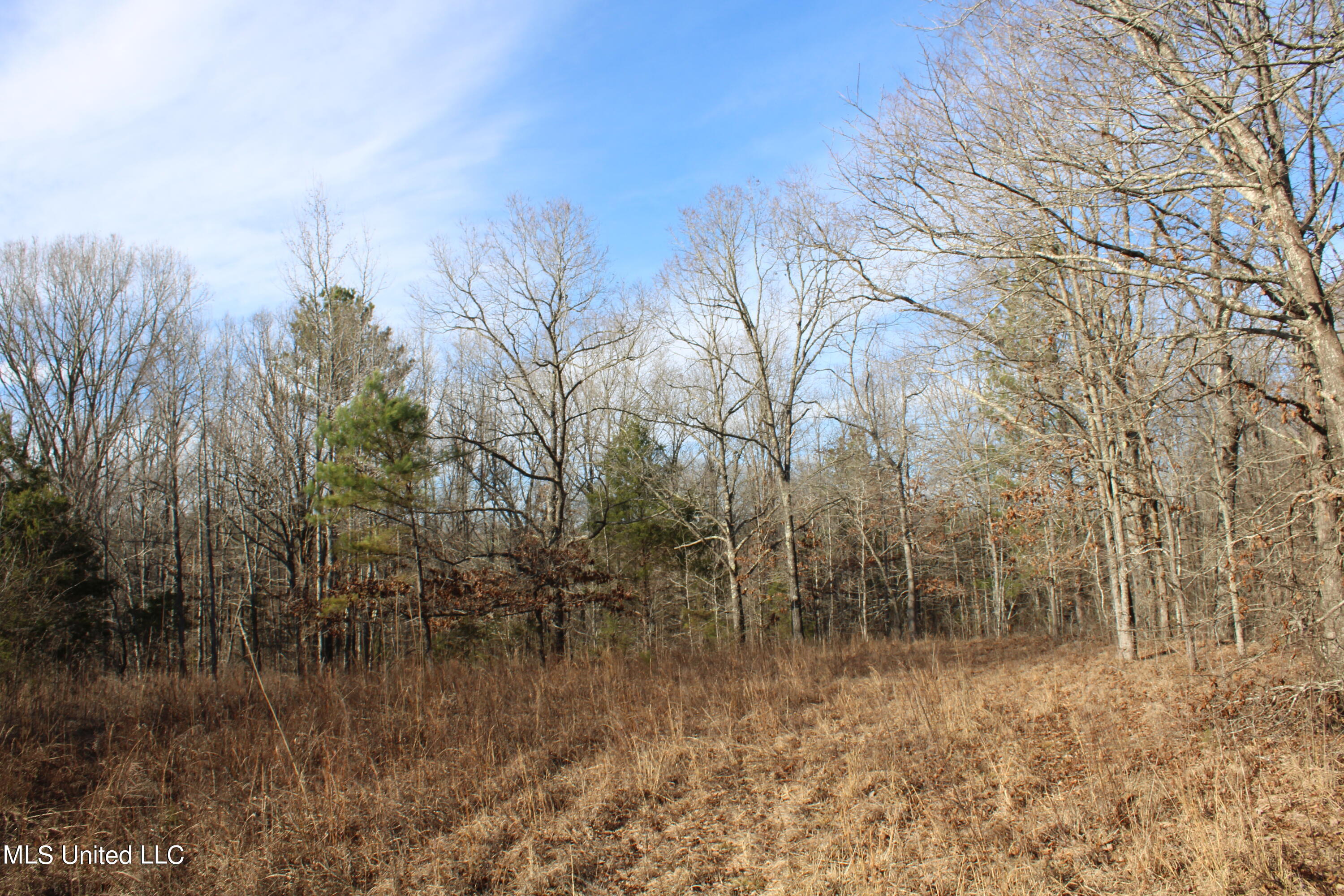700 Rabbit Ridge Road Red Banks, MS 38661 - Photo 13 of 39 IMG_0672