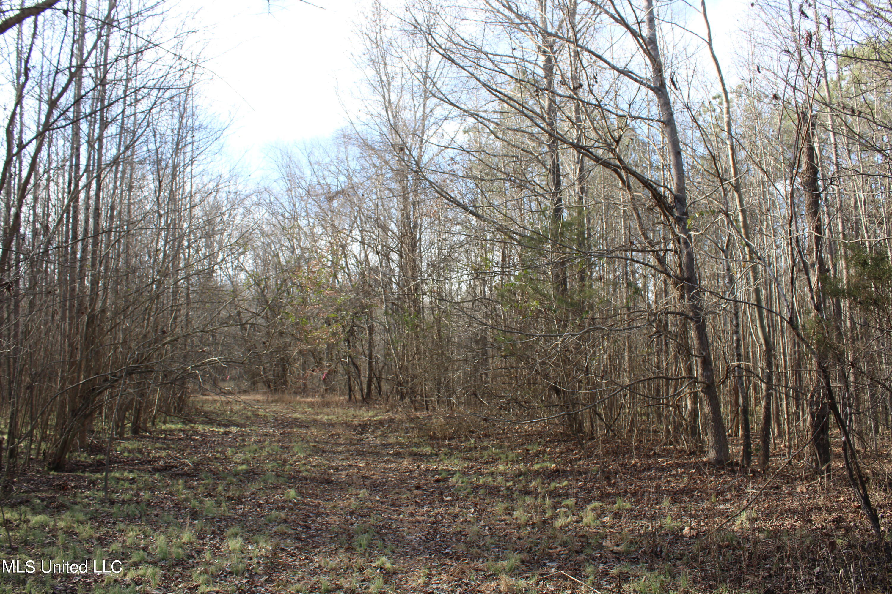 700 Rabbit Ridge Road Red Banks, MS 38661 - Photo 14 of 39 IMG_0678