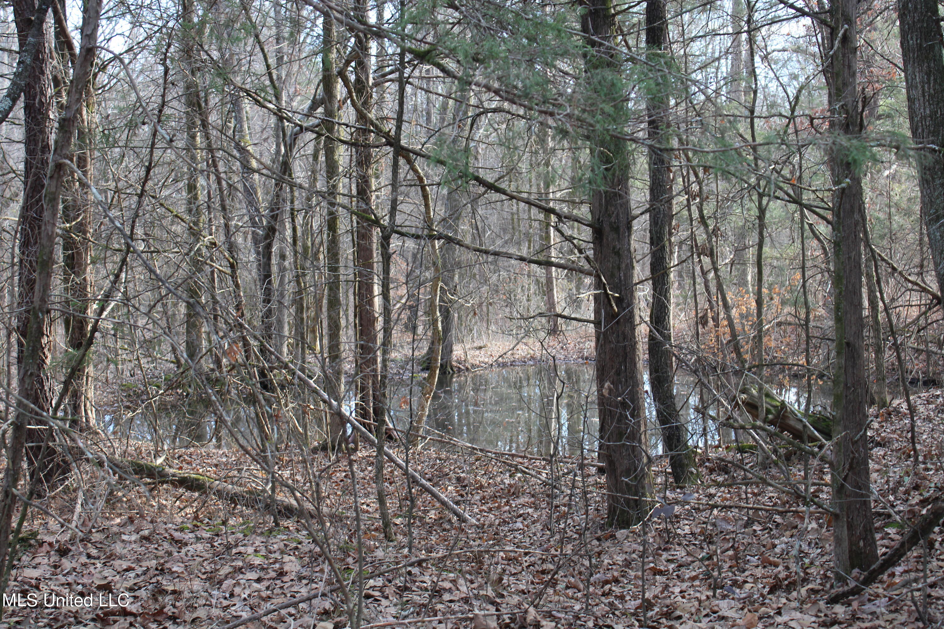 700 Rabbit Ridge Road Red Banks, MS 38661 - Photo 22 of 39 IMG_0696