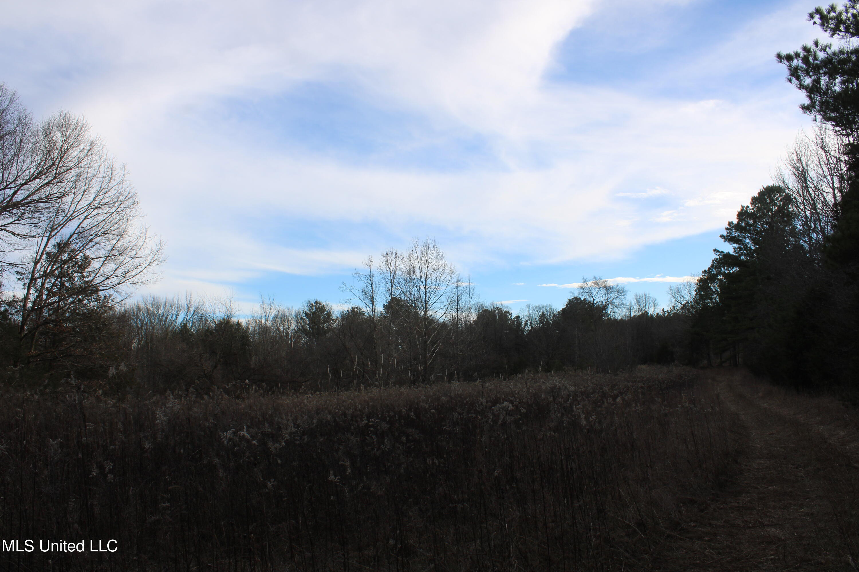 700 Rabbit Ridge Road Red Banks, MS 38661 - Photo 23 of 39 IMG_0698