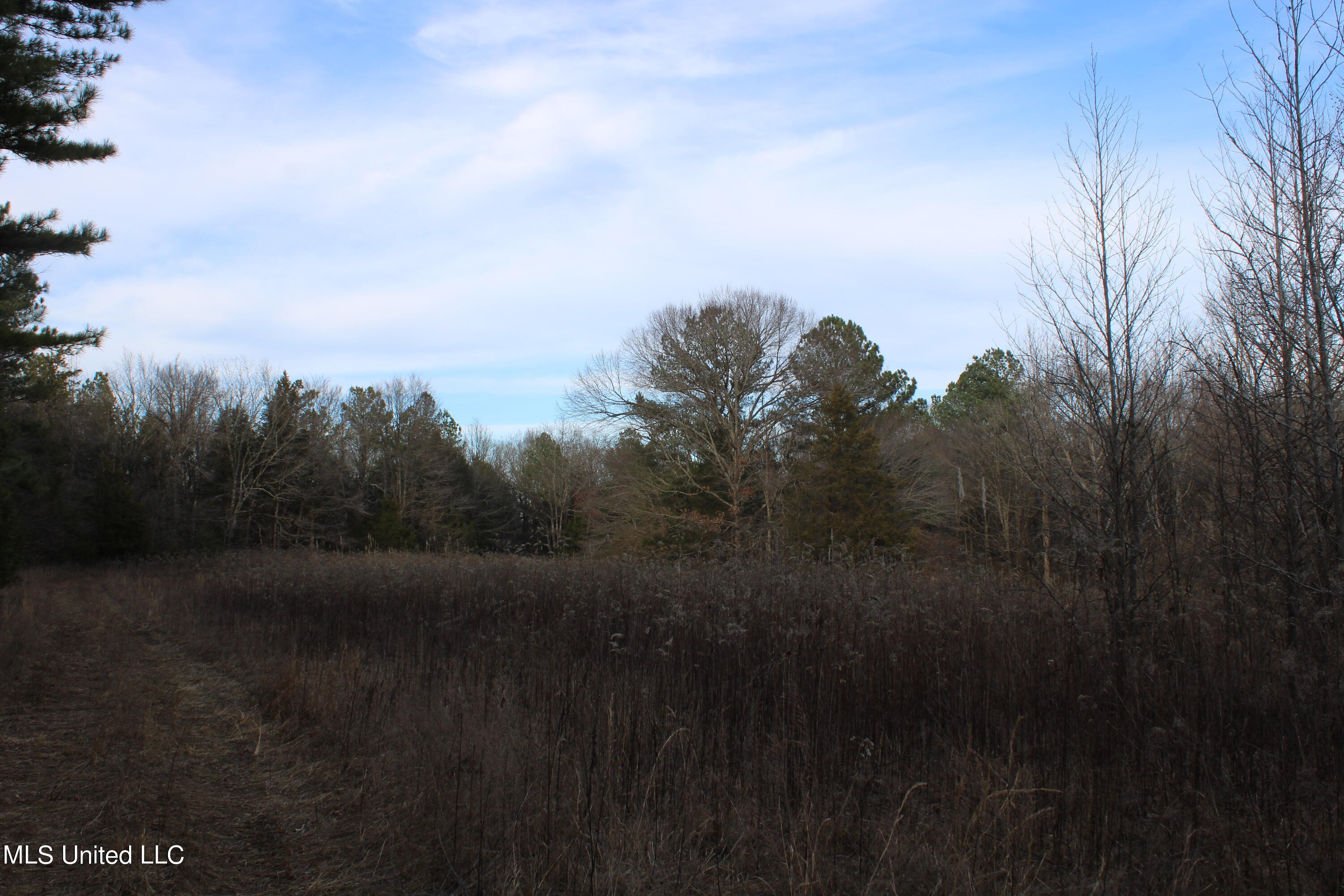 700 Rabbit Ridge Road Red Banks, MS 38661 - Photo 24 of 39 IMG_0699