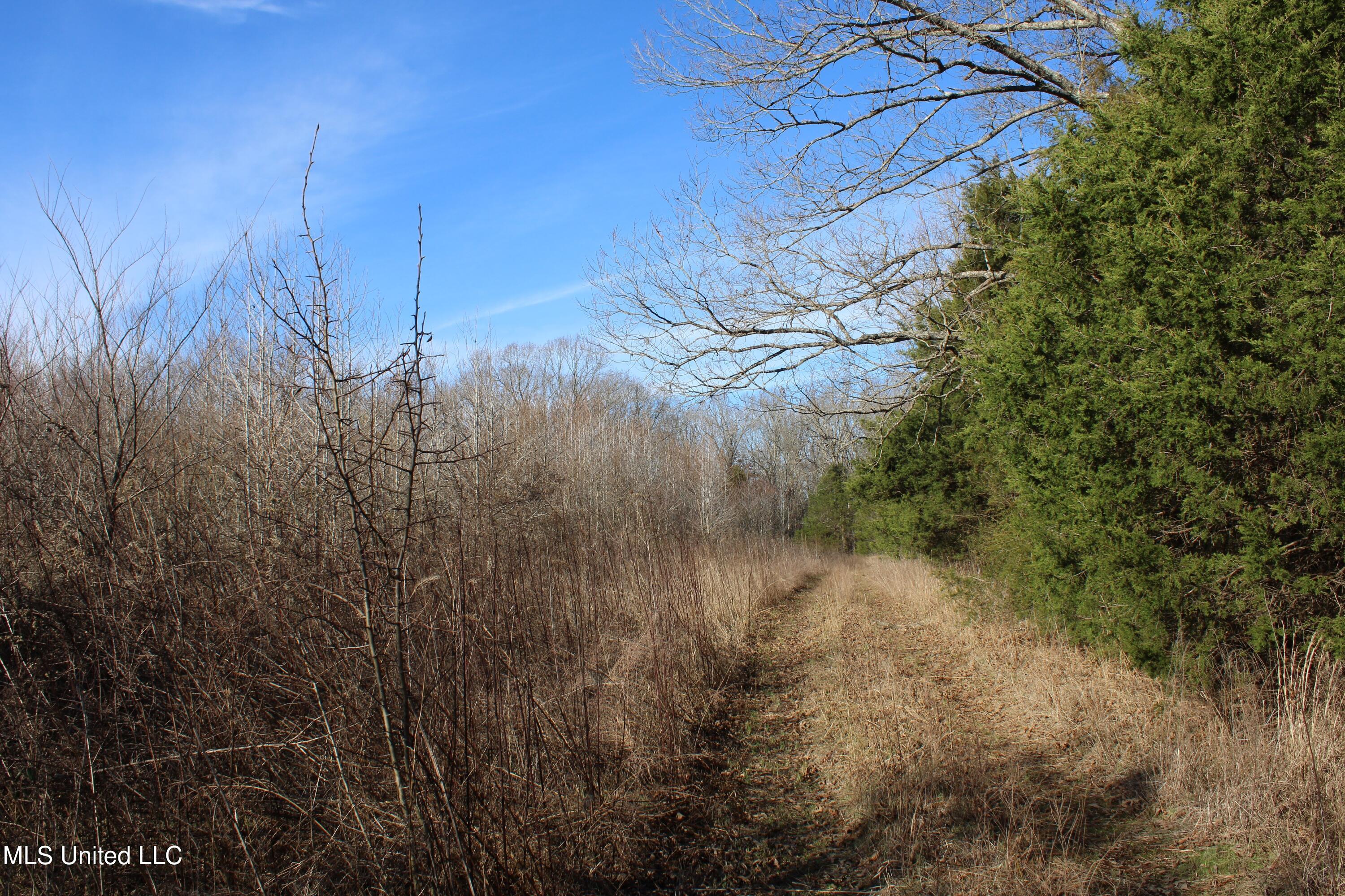 700 Rabbit Ridge Road Red Banks, MS 38661 - Photo 29 of 39 IMG_0653