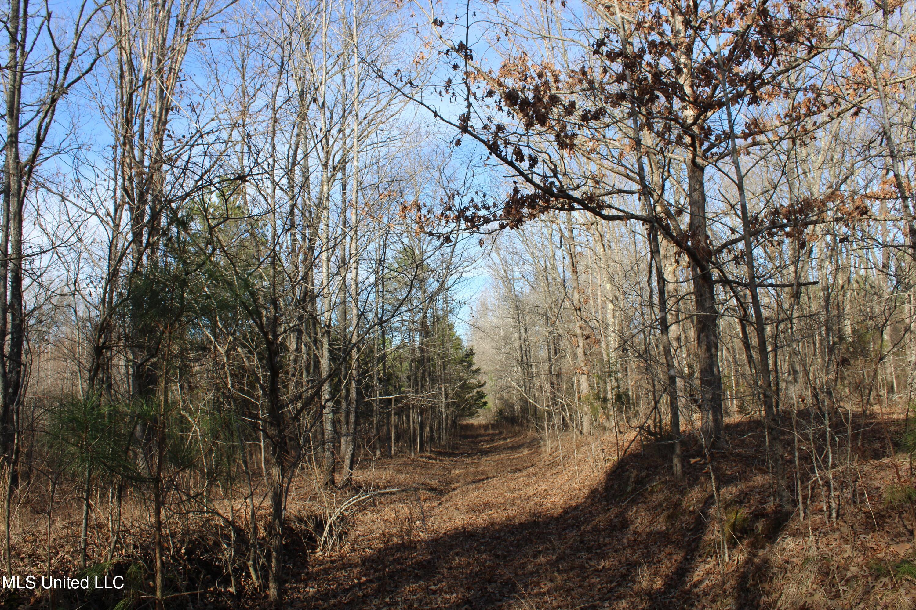 700 Rabbit Ridge Road Red Banks, MS 38661 - Photo 38 of 39 IMG_0674