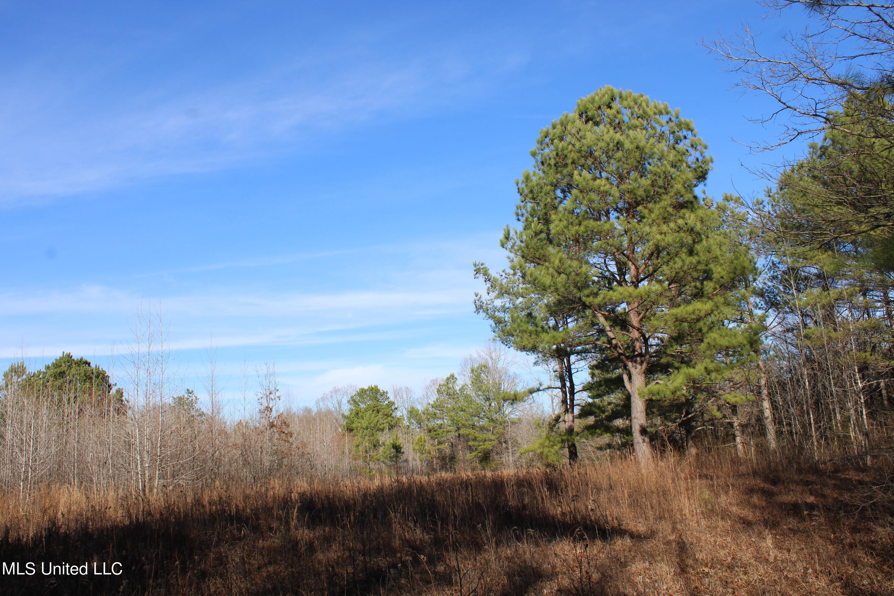 700 Rabbit Ridge Road Red Banks, MS 38661 - Photo 9 of 39 IMG_0666
