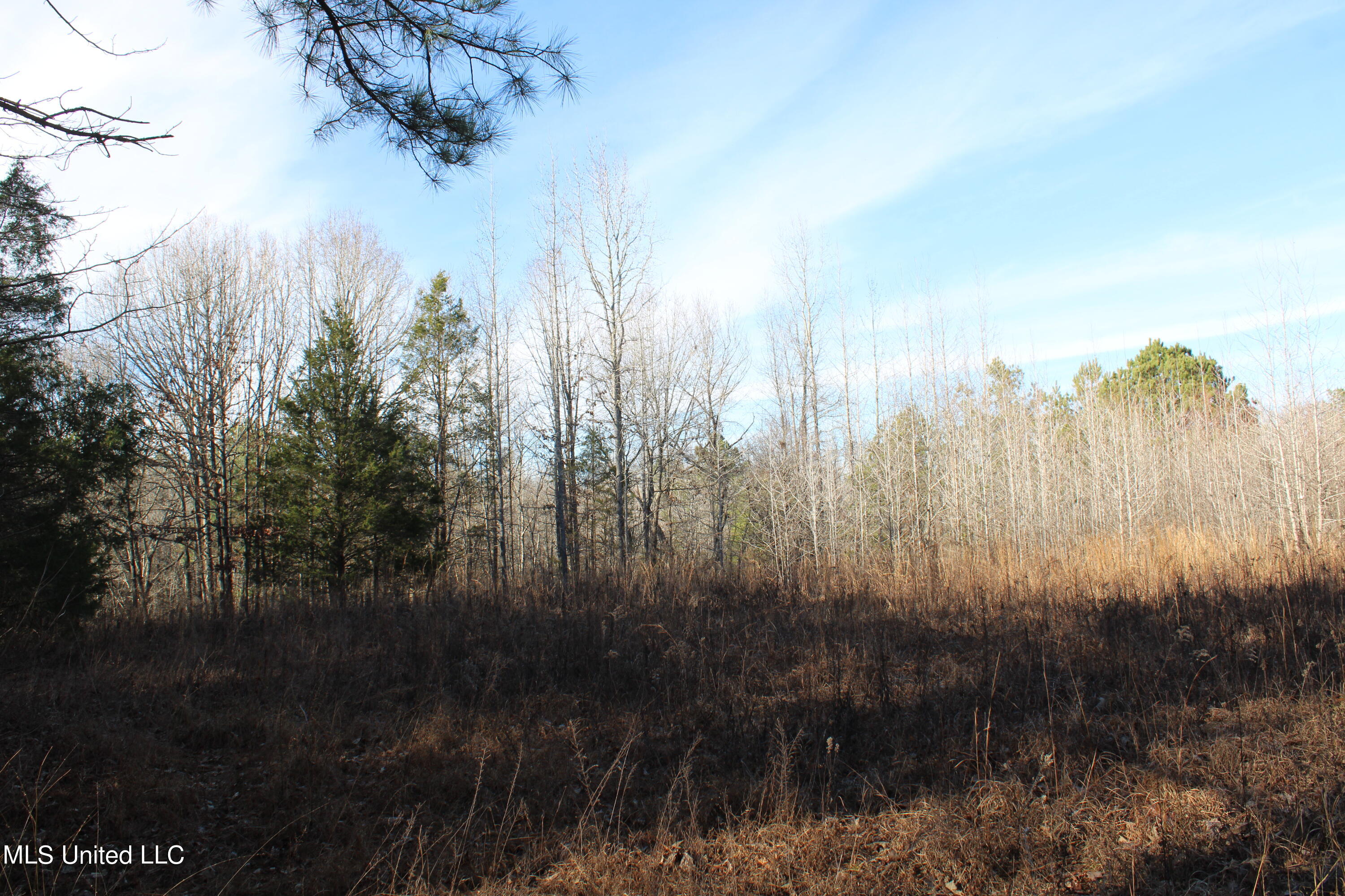 700 Rabbit Ridge Road Red Banks, MS 38661 - Photo 10 of 39 IMG_0667
