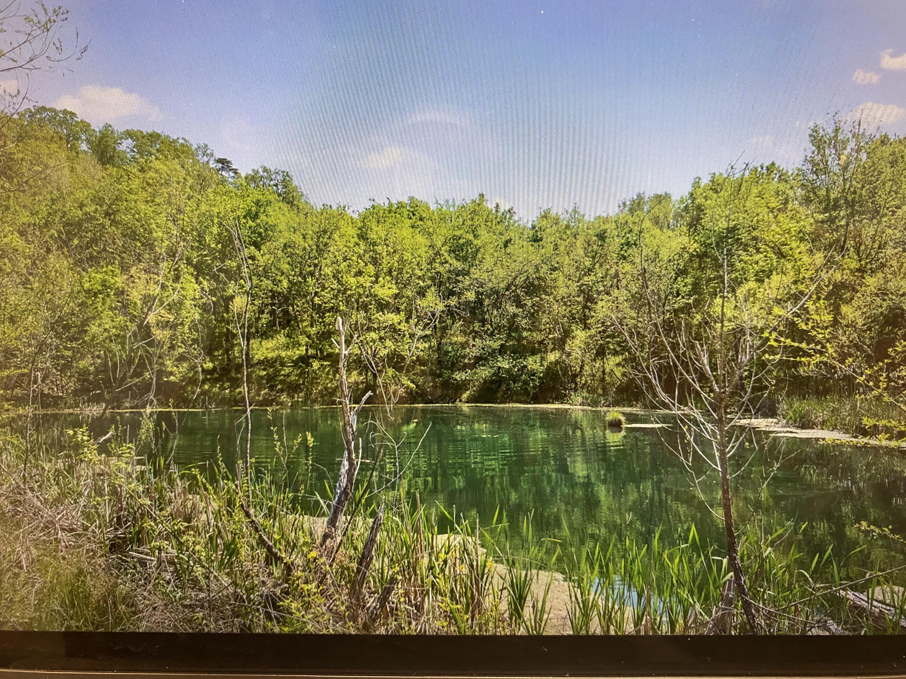 2 Smith Road Dunlap, TN 37327 - Photo 4 of 8 IMG_7967(1)