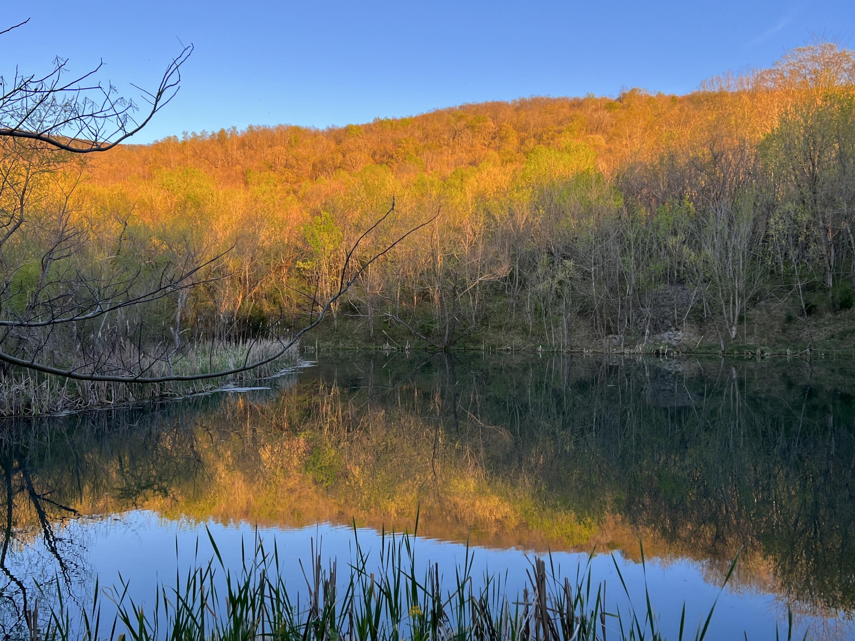 2 Smith Road Dunlap, TN 37327 - Photo 8 of 8 IMG_2263