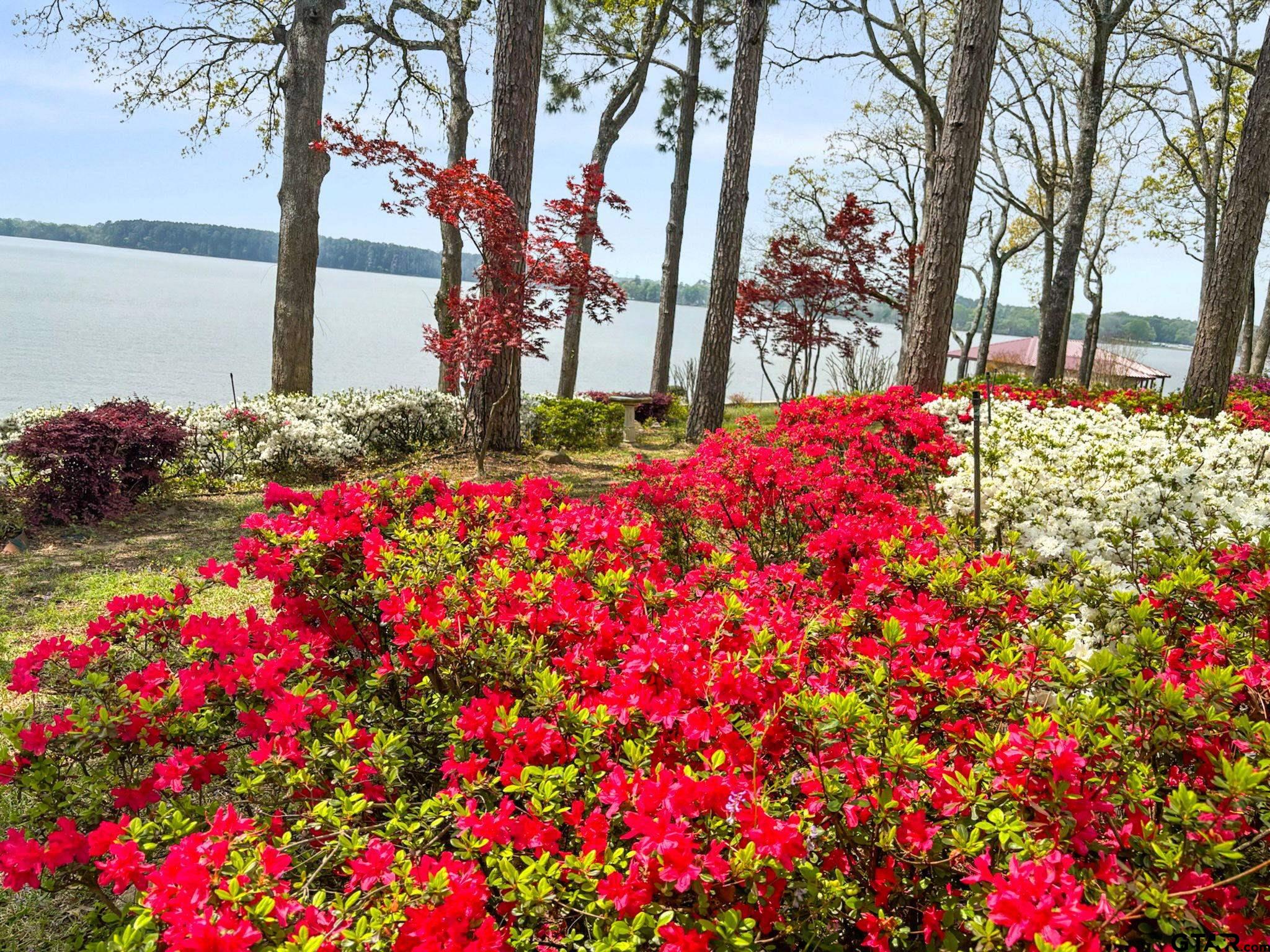 15996 Eastside Road Tyler, TX 75707 - Photo 5 of 48 a view of a flower arrangement in backyard of a house