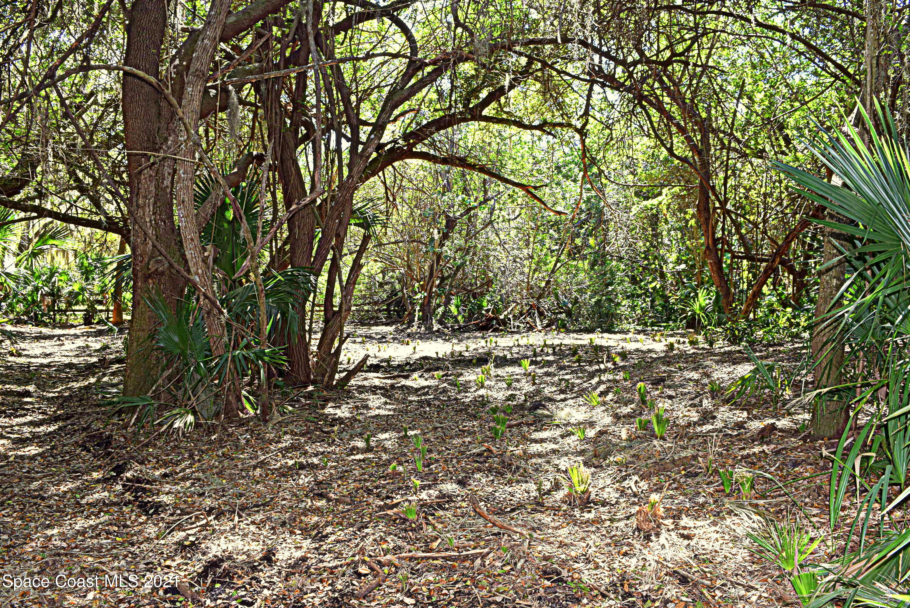 305 East Hall Road Merritt Island, FL 32953 - Photo 1 of 9 Build your Dream Home here2