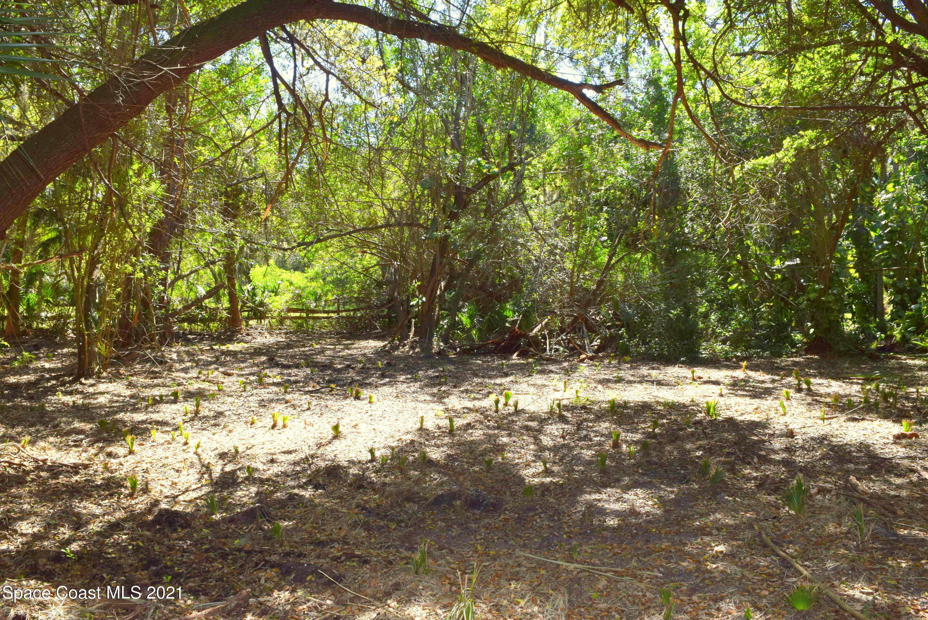 305 East Hall Road Merritt Island, FL 32953 - Photo 4 of 9 Imagine the Possibilities!