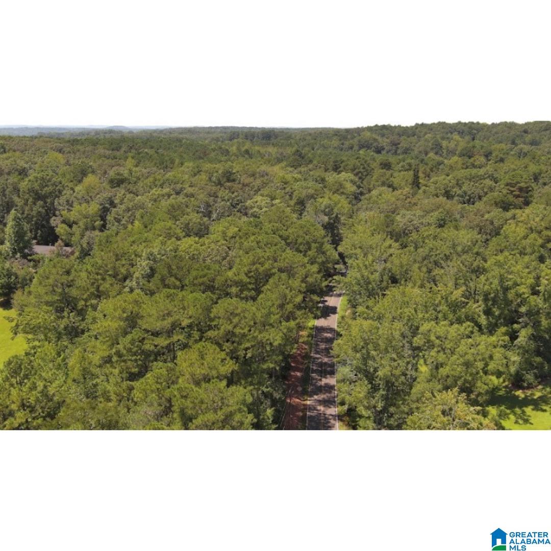 4027 Dean Road, Unit 4027 Pinson, AL 35126 - Photo 8 of 13