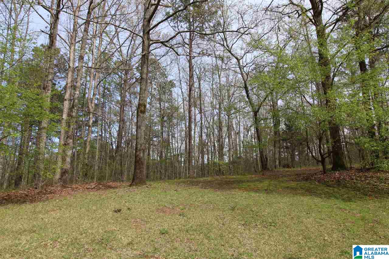 4570 Pleasant Valley Road Jacksonville, AL 36265 - Photo 16 of 17